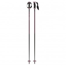 Atomic AMT Carbon SQS W Q-Plum (105cm 115cm 125cm)