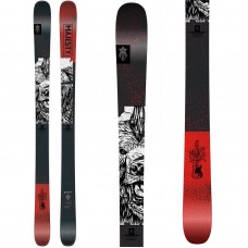 Majesty Dirty Bear Pro (171cm)